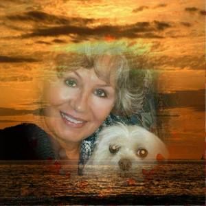 Meet your Posher, Ruby